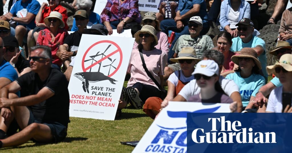 'I'm not watching': how wind farms became a key issue in NSW local elections